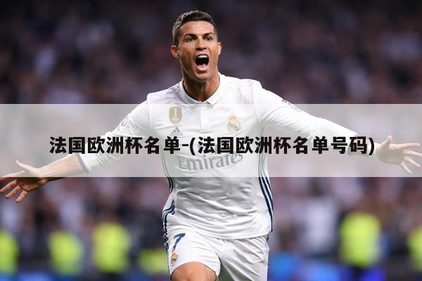 法国欧洲杯名单-(法国欧洲杯名单号码)