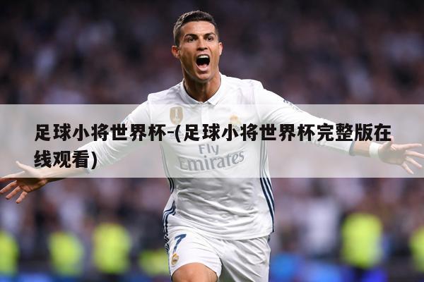 足球小将世界杯-(足球小将世界杯完整版在线观看)
