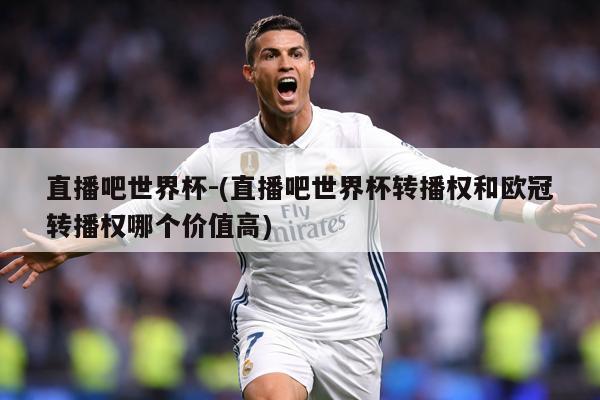 直播吧世界杯-(直播吧世界杯转播权和欧冠转播权哪个价值高)