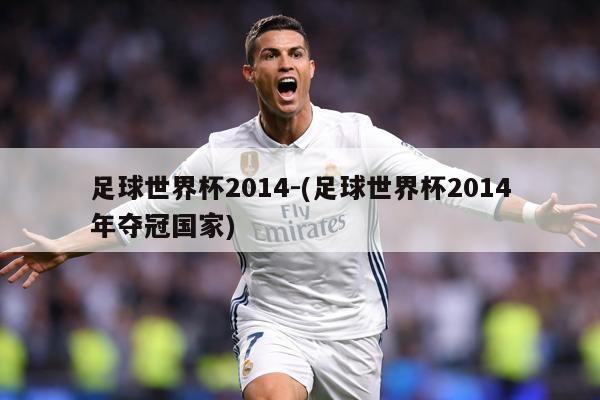 足球世界杯2014-(足球世界杯2014年夺冠国家)